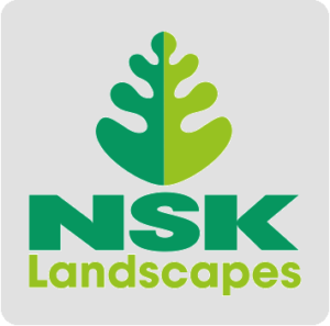 NSK Landscapes